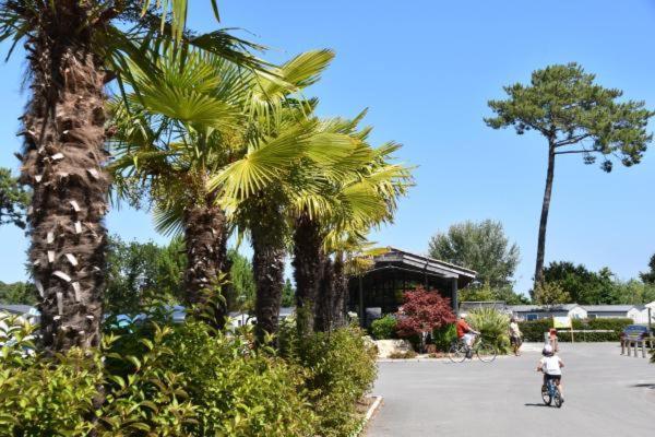 Mobil Home Xxl - Bord Lac - Camping Les Viviers - Lege Cap Ferret Exterior photo